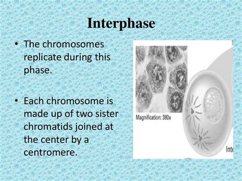 Cellular Reproduction Ppt