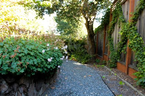 Gravel Pathway Traditional Garden San Francisco By Terra Ferma Landscapes Houzz UK