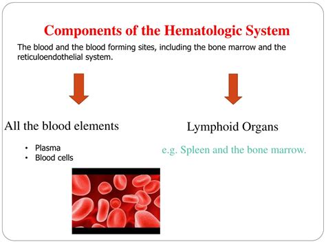 Ppt Pathophysiology Of Hematologic System Lecture 2 Sahar Al Hogail
