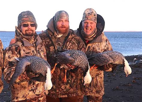 Alaska Duck Hunting Guides King Eider Hunting Seaduck Hunts