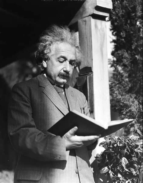 Albert Einstein Reading Library Displays In 2019 Celebrities