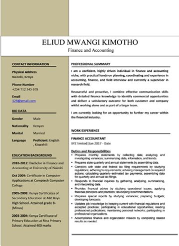 cv samples   microsoft word format