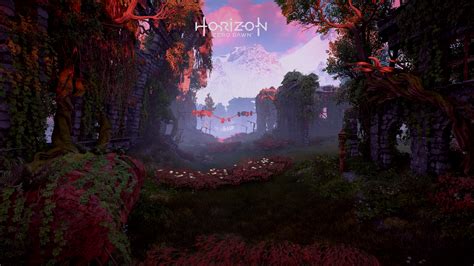 Horizon Zero Dawn Video Games Screen Shot 2560x1440 Wallpaper