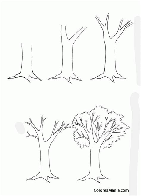 Colorear Como Dibujar Un árbol 2 Arboles Dibujos A Lapiz Como