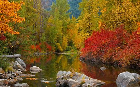 Fall Awesome Forest River Water Widescreen X Hd Wallpaper Wallpapers Com