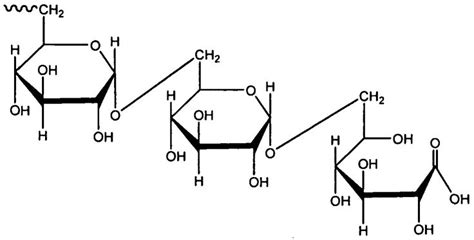 Carbohydrate Monomer Structure