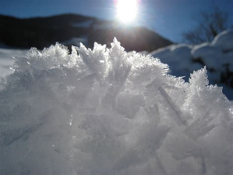 Winter Sun Snow Ice Free Photo On Pixabay