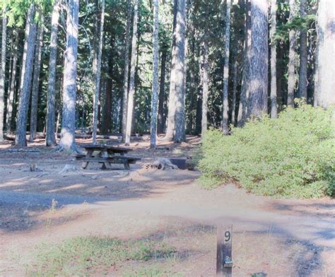 Clear Lake Campground Mt Hood Oregon