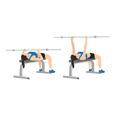 Woman Doing Close Grip Overhand Barbell Bench Press Exercise Flat Vector Illustration Isolated