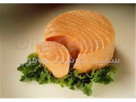 تن ماهی محصولات کنسرو ماهی در پارس سنتر