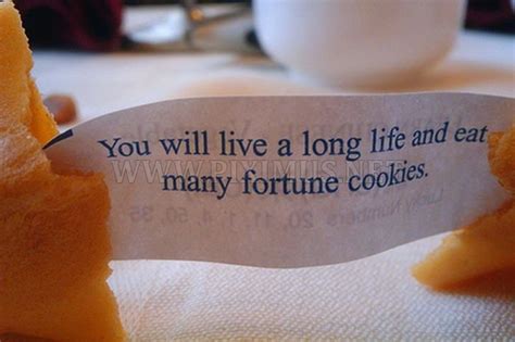 Funny Chinese Fortune Cookie Quotes Mcgill Ville
