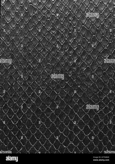 Snake Leather Texture Stock Photo Alamy