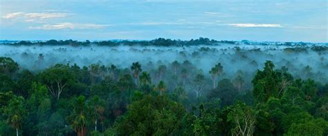 Amazon Sustainable Landscapes Program