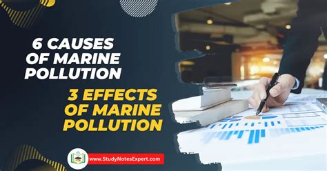 6 Unique Causes Major Effects Of Marine Pollution