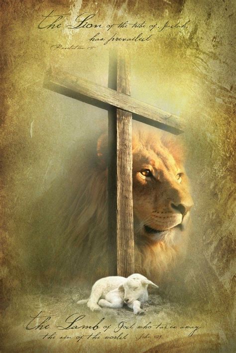 Pin By Angel Seeker On Lion Lamb And Dove Lion And Lamb Lion Of Judah