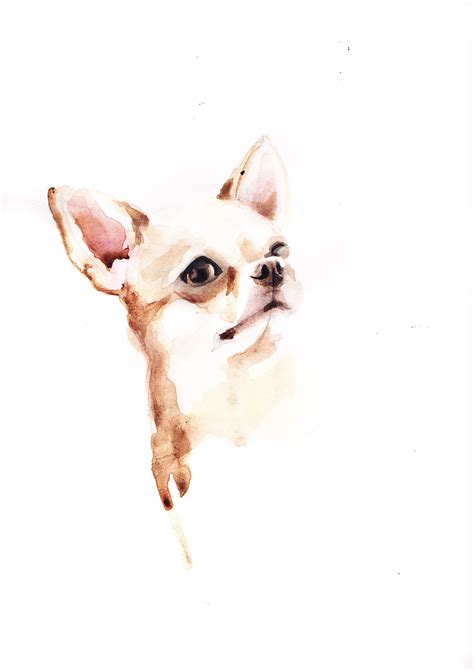 Chihuahua By Lets Dog It Watercolor Watercolor Dog Chihuahua Art