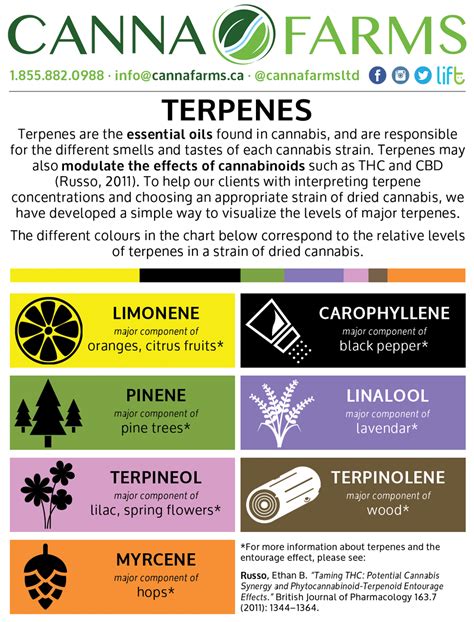 Printable Terpenes Cannabinoids Chart
