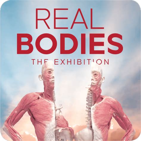 Real Bodies The Exhibition Exhibition On Teo