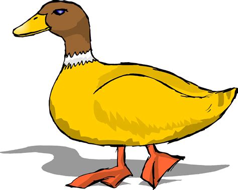 Gambar Pictures Animated Ducks Free Download Clip Art Duck Images