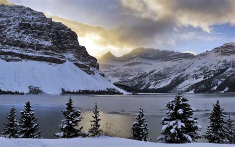 Fonds Décran Hiver Montagnes Neige Lac Bow Arbres Alberta Canada