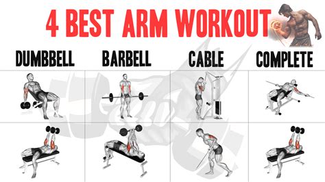 Best Workout Routine For Big Arms Eoua Blog