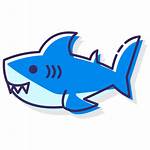 Shark Icon Icons Sea Fish Animal Flaticon