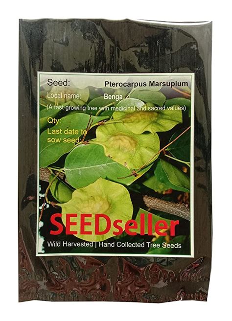 Seedseller Pterocarpus Marsupium Benga Kempu Honne Medicinal Tree