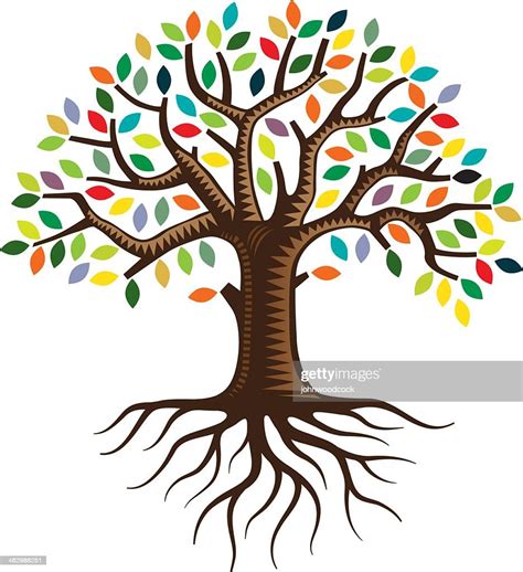 Tree With Roots And Brightly Colored Leaves Vector Art Getty Images