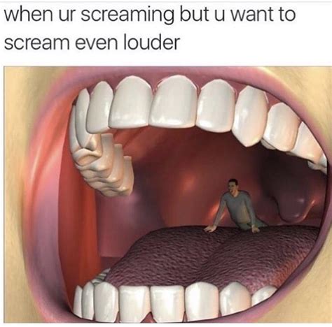 When Youre Screaming But Want To Scream Even Louder Meme Meme Pictures Reaction Pictures