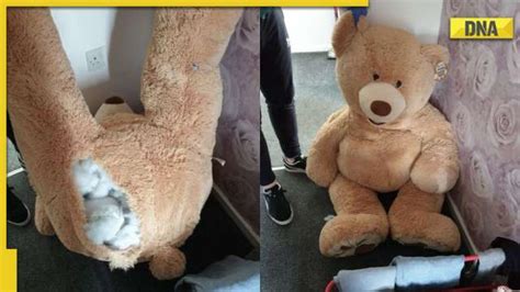 Uk Police Caught Thief Hiding Inside Teddy Bear Netizens React To Viral Post