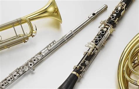 Advanced Instrument Design And Maintenance Brasswoodwind Instrument