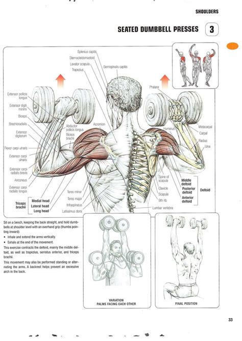 Frederic Delavier Strength Training Anatomy Gym Workout For