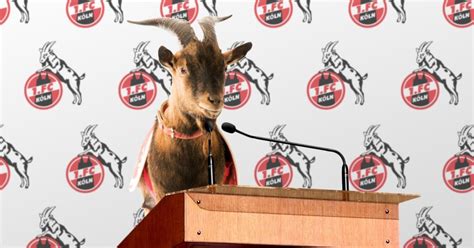 Fc köln bietet im heimspiel gegen freiburg noch viel zu wenig an und liegt nach einem von skhiris fehler begünstigten doppelschlag nach 45 minuten mit. Der Postillon: Nach Schmadtke-Aus: Geißbock Hennes wird ...