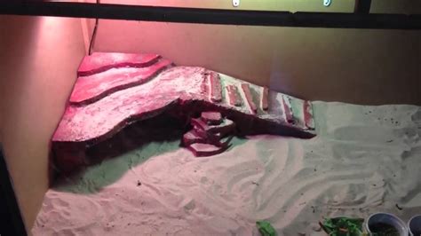 Nobody wants to just simply reside their reptile pets in an we collect some easy and unique diy bearded dragon tank decor ideas for you to simply create this is a perfect one for your dragon to climb or hide under. DIY reptile basking spot a hide - YouTube