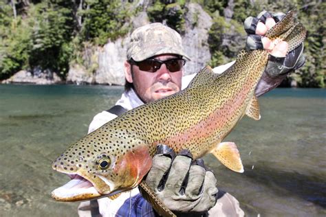 Rainbow Trout Fishing In Patagonia Argentina And Chile