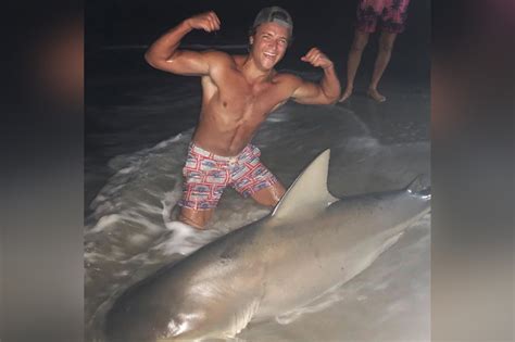 Large Shark Caught