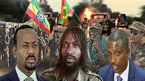 Oduu Hatattama Wbo Jaal Marroo Waraana 800 Barbadesumoha Oromo Youtube