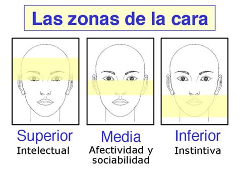 Morfopsicología los Rasgos Faciales y la Personalidad
