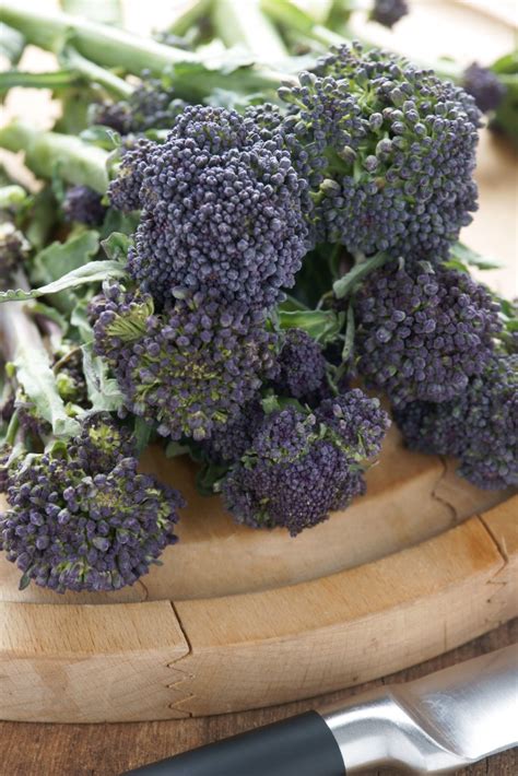 April Seasonal Table Purple Sprouting Broccoli Fruit Hill Farm Blog