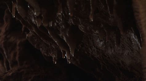 Dark Dripping Cave Water Stock Video Footage 0012 Sbv 300017340