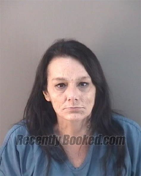 Recent Booking Mugshot For Joanne Marie Earhart In Wood County Ohio