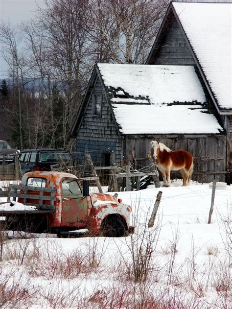 See more ideas about horse barns, horse stables, small horse barns. Maine Land, What To Look For Buying The Soil. Blog - Mooers Realty