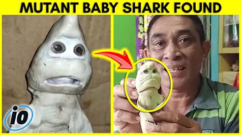 Terrifying Mutant Baby Shark Found With Human Face Youtube