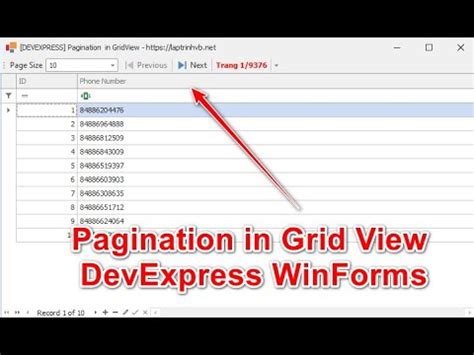 How To Paging In DataGridView Or Gridcontrol Devexpress Winforms In VB