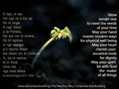 Whakatauki Proverbs Ideas Maori Words Te Reo Maori Resources