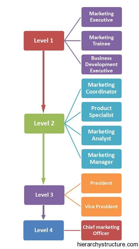 Business Analyst Career Path Diagram Ubisenss