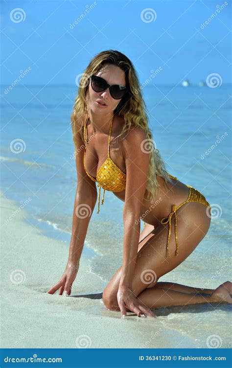 Bikini Model Posing In Front Of Camera Stock Photo Image Of Adult