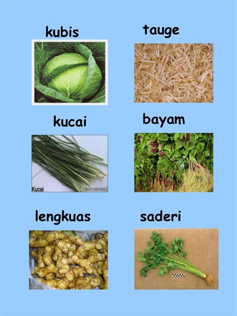 Alya batrisyia binti azhar kelas: Pelbagai jenis sayur sayuran