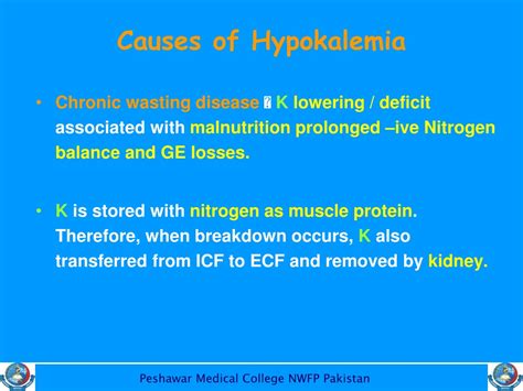 Ppt Role Of Potassium In Human Body Powerpoint Presentation Free