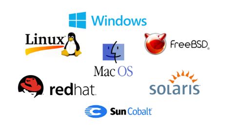 Examples of network operating systems include microsoft windows server 2003, microsoft windows server 2008, unix, linux, mac os x, novell netware, and bsd. X-Cart:Server Requirements (X-Cart 4.1) - X-Cart 4 Classic